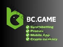 Exploring BC Game USA A New Frontier in Online Gaming