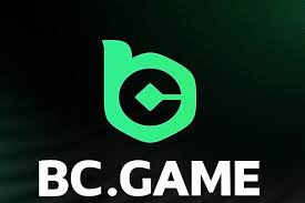 Comprehensive Guide to BC.Game Payment Methods 874916580 Comprehensive Guide to BC.Game Payment Methods 874916580