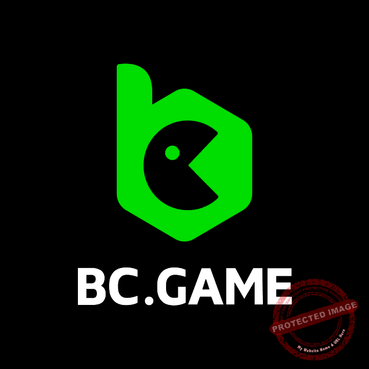 Understanding the Privacy Policy of Hash Game 1079623596