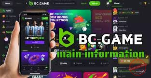 How to Successfully Register on BC.Game