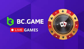 Understanding BC.Game KYC and AML Processes