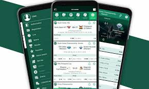 Comprehensive BetWinner Reviews Insights and Player Experiences