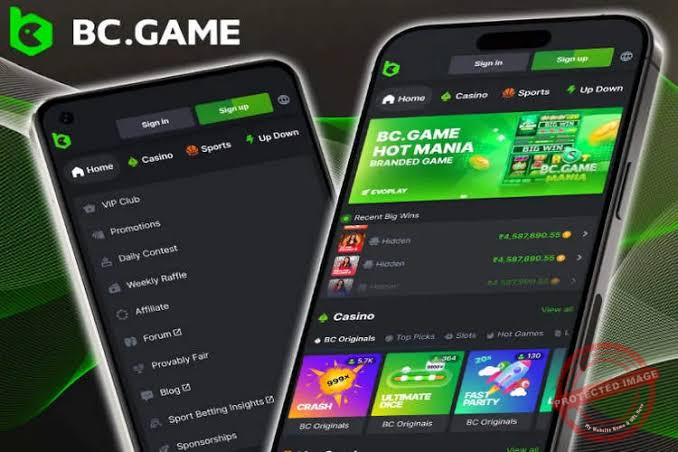 Download the BC.Game App Your Gateway to Mobile Gaming 940436349
