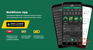 Exploring the BetWinner Platform A Comprehensive Guide to Online Betting